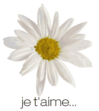 je t'aime un peu ...